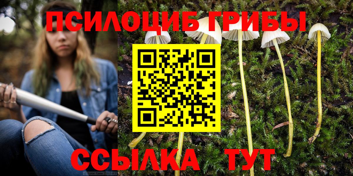Галлюциногенные грибы мухоморы  Вход с VPN  Советск 